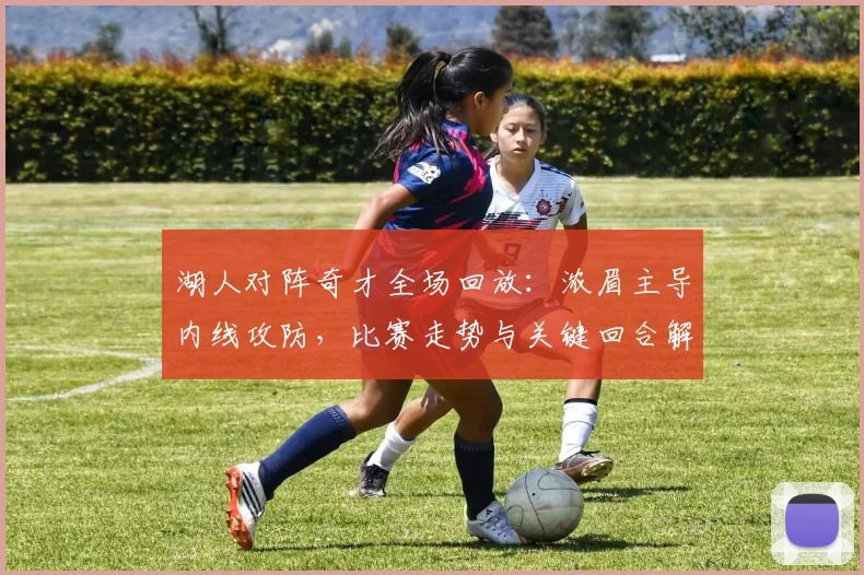 湖人对阵奇才全场回放:浓眉主导内线攻防,比赛走势与关键回合解析