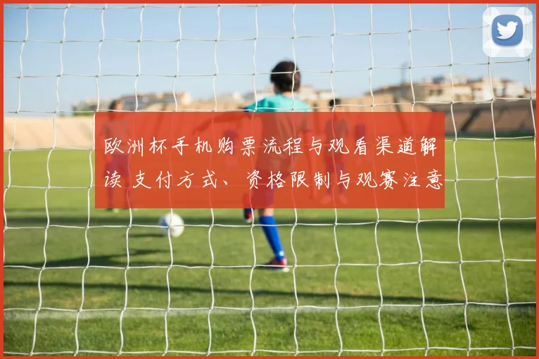 欧洲杯手机购票流程与观看渠道解读 支付方式、资格限制与观赛注意事项