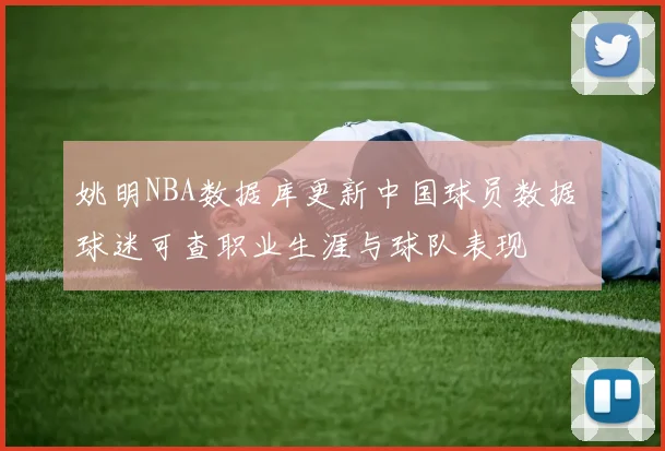 姚明NBA数据库更新中国球员数据 球迷可查职业生涯与球队表现