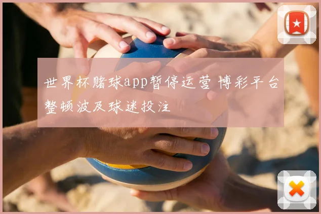 世界杯赌球app暂停运营 博彩平台整顿波及球迷投注