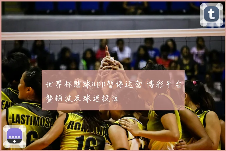 世界杯赌球app暂停运营 博彩平台整顿波及球迷投注
