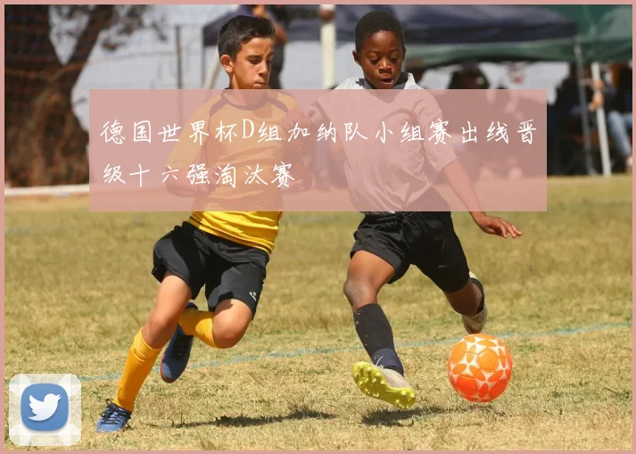 德国世界杯D组加纳队小组赛出线晋级十六强淘汰赛