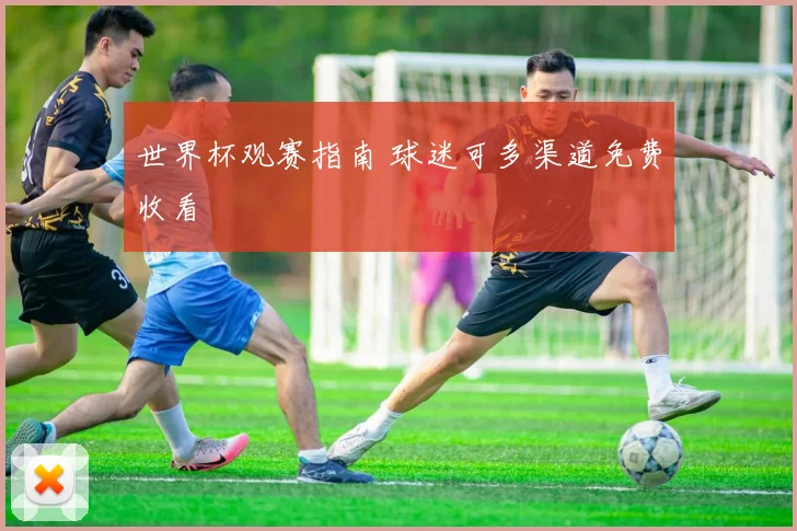 世界杯观赛指南 球迷可多渠道免费收看